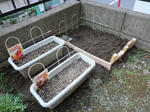 gardens_of_jericho.JPG