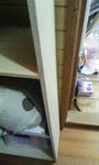 shelf_angle.jpg