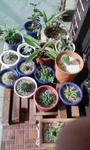 20121011145009.jpg