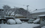 250670e2.jpg