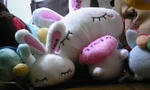 100611_002137.jpg
