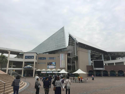 横浜八景島シーパラダイス 水族館 遊園地 ー横浜デートプラン 女の子が喜ぶ横浜デートスポット 15厳選 横浜市民が考えた特別な横浜デートコース