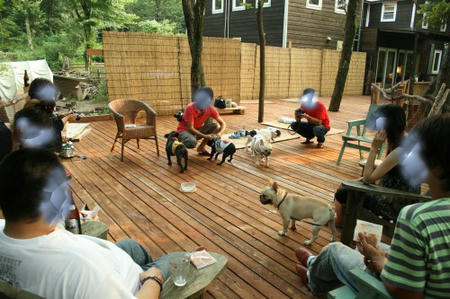 080729.jpg