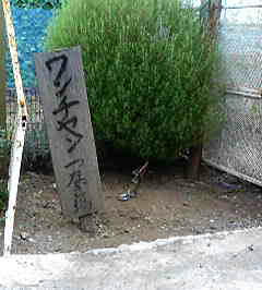 P1020006.JPG
