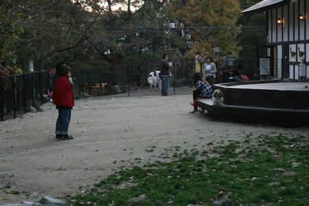 110636.jpg