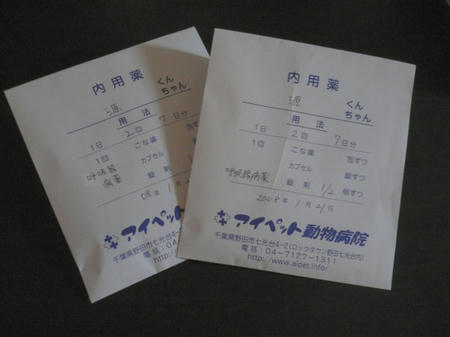 396d637c.jpg