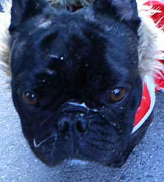200801251637.jpg