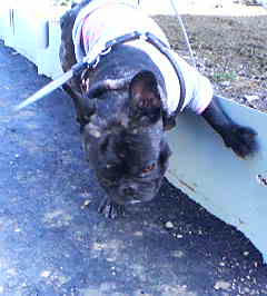 200801261424.jpg