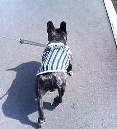 200802291237.jpg