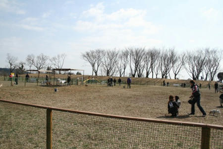 08000302.jpg