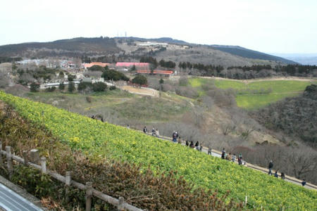 080030310.jpg