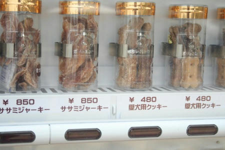 08030502.jpg