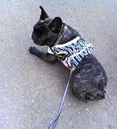 200803151509.jpg