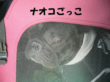 08042300.jpg