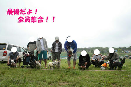 08.jpg