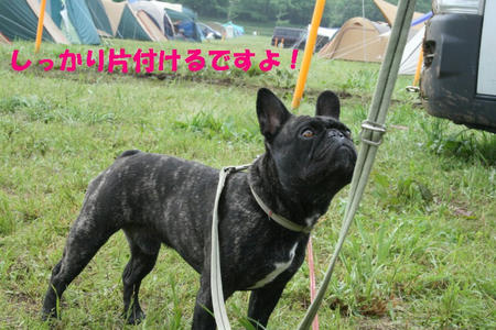 08050301.jpg