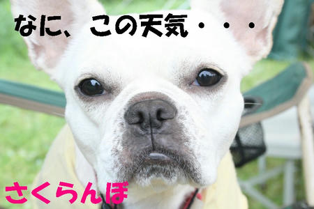 08050308.jpg