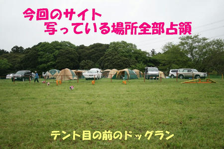 08050318.jpg