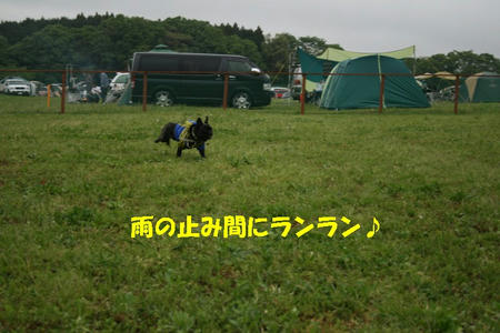 08050319.jpg