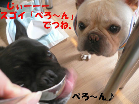 08061005.jpg