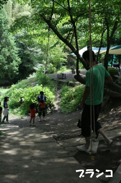 08061612.jpg