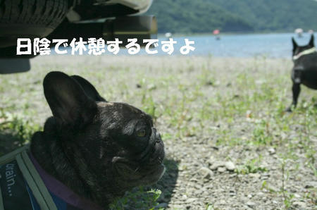 08071204.jpg