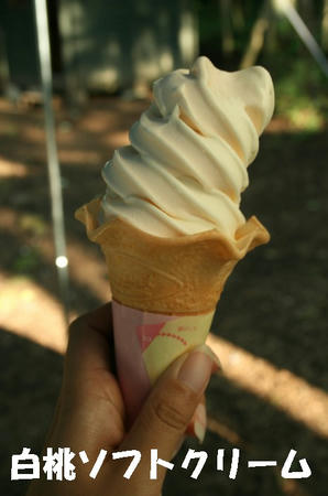 08071214.jpg