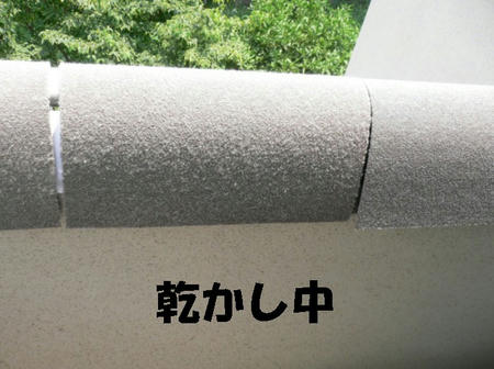 08080100.jpg