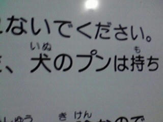 200808031900000.jpg