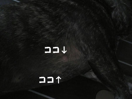 08080500.jpg