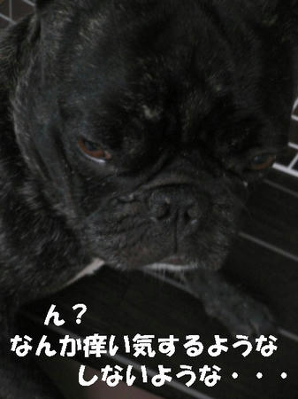 08080501.jpg