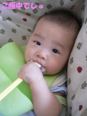08081102.jpg