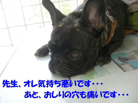 08090100.jpg