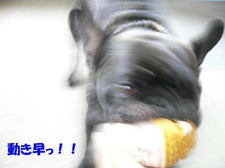 08090300.jpg