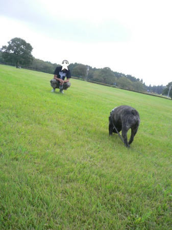 08090704.jpg