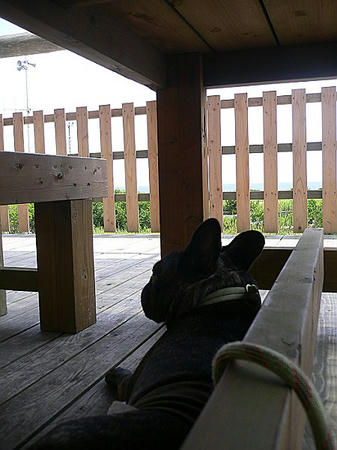 08090709.jpg