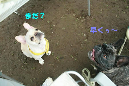 08102910.jpg