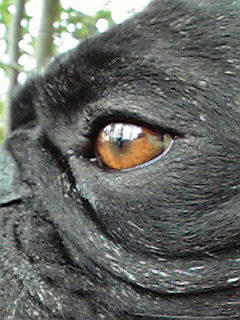200811141214002.jpg