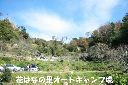 08112407.jpg