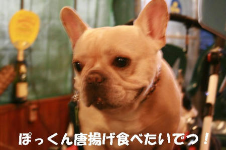 0812080202.jpg