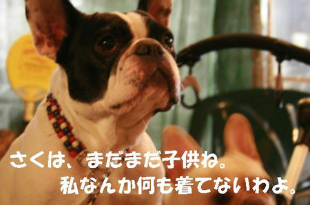0812080505.jpg