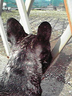 200812111014000.jpg