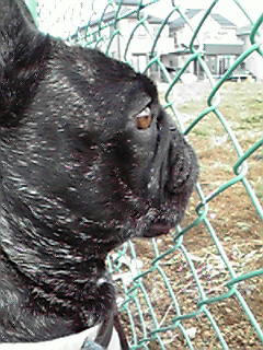 200812091145001.jpg