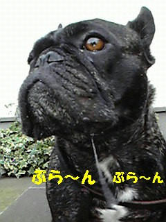 200812111022002.jpg