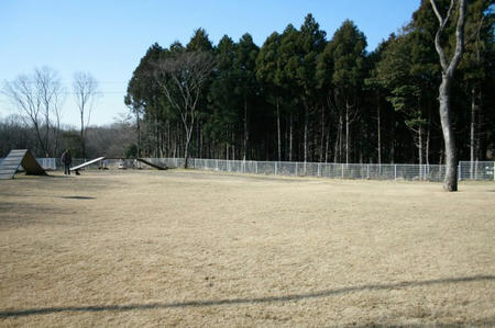 08122902.jpg