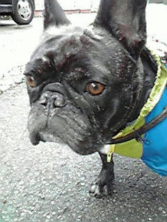 200903041107000.jpg