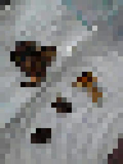 200903041115000.jpg