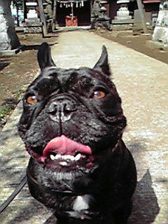 200903211218001.jpg