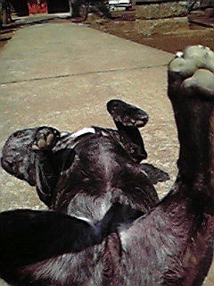 200903211219000.jpg