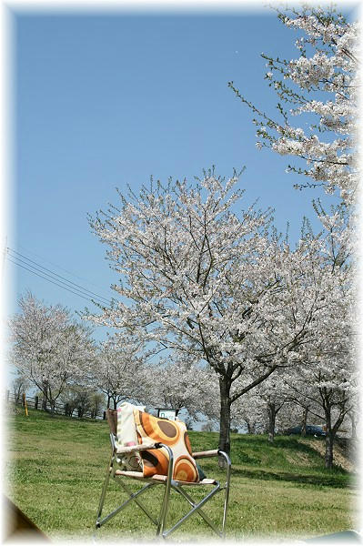 09041212.jpg
